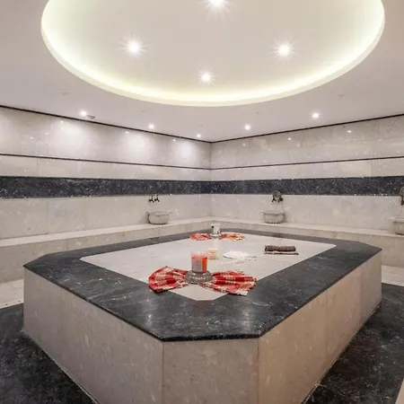 Hotel Viking Park