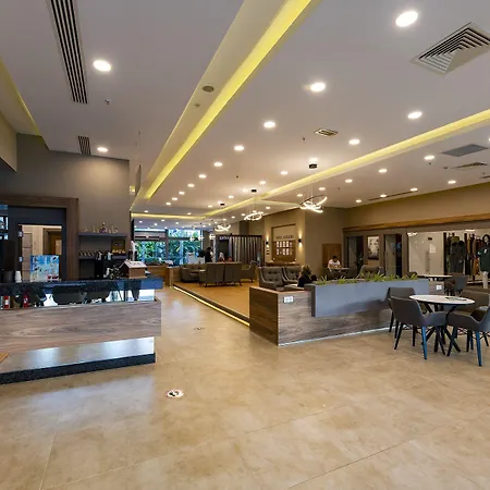 Viking Park Hotell 4*