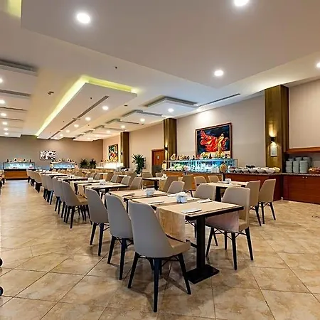 酒店 Viking Park